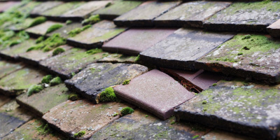 Birdlip roof repair costs